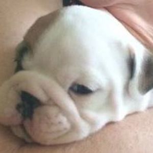 Meet your Posher, Diane